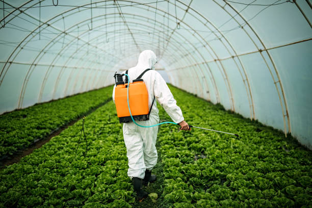 Best Pest Control Treatment  in Shady Shores, TX