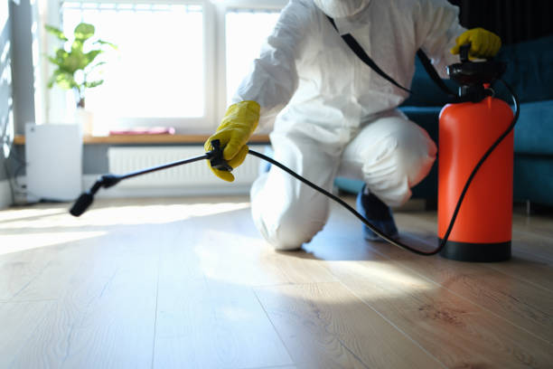 Best Local Pest Control Services  in Shady Shores, TX