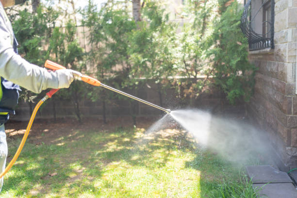 Best Pest Prevention Services  in Shady Shores, TX