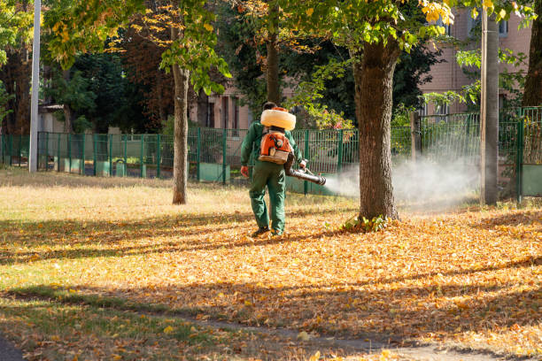 Best Commercial Pest Control Services  in Shady Shores, TX